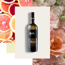 Carica l'immagine nel visualizzatore di Gallery, Amure Fiano Puglia - Claudio Quarta Vignaiolo Shop
