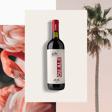 Carica l'immagine nel visualizzatore di Gallery, QU.ALE Salento Rosso - Claudio Quarta Vignaiolo Shop