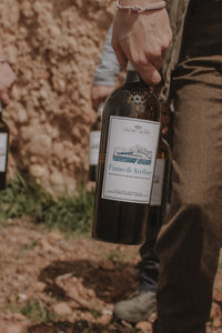 Fiano di Avellino DOCG - Claudio Quarta Vignaiolo Shop