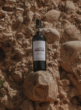 Carica l&#39;immagine nel visualizzatore di Gallery, Taurasi DOCG 2016 - Claudio Quarta Vignaiolo Shop
